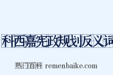 科西嘉宪政规划反义词是什么意思的图片
